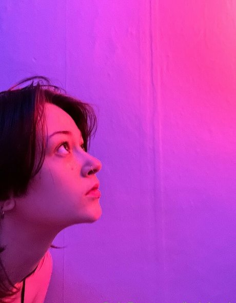 holyheck 限定モデル 写真