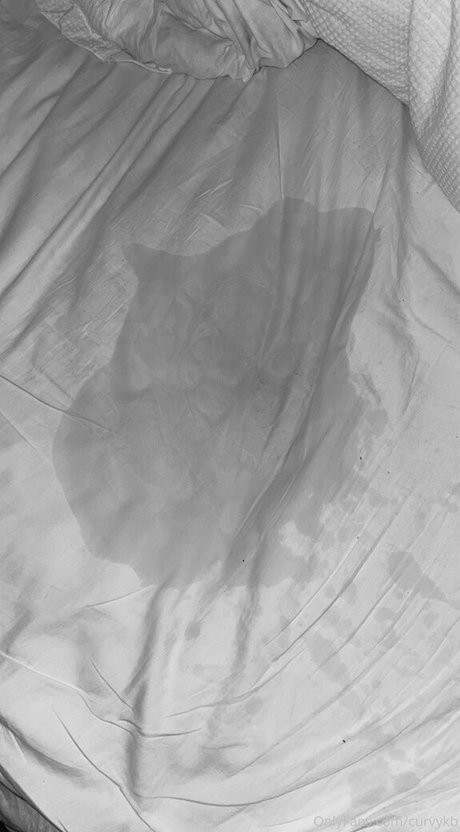 ビーチオンリーファン セックス 写真