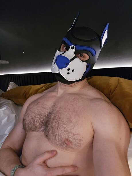 pupbuday HDモデル 画像