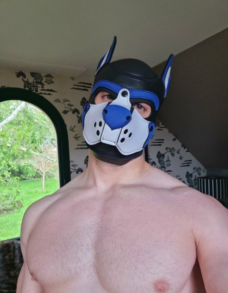 pupbuday 最高のポルノスター 写真
