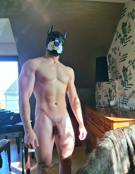 pupbuday アートスター 写真