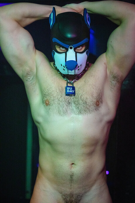pupbuday ポルノモデル 写真