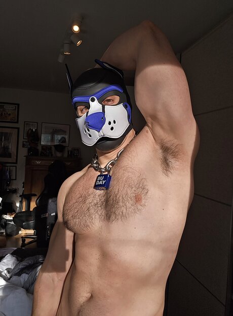 pupbuday top profile image