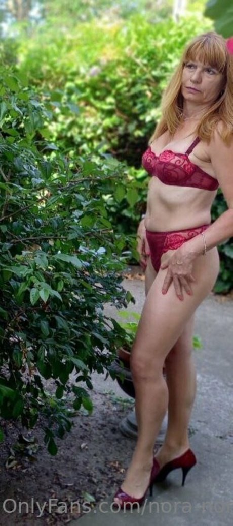 naked nora スター ヌード 画像