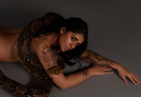 Mikayla Dabash アートスター 写真