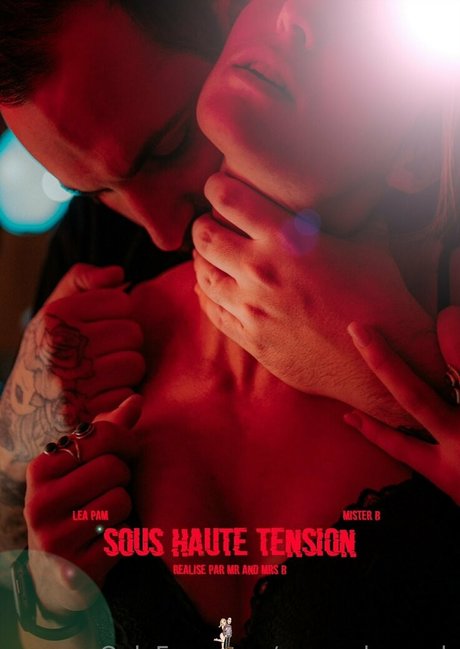 mr and mrs b 高品質スター 写真