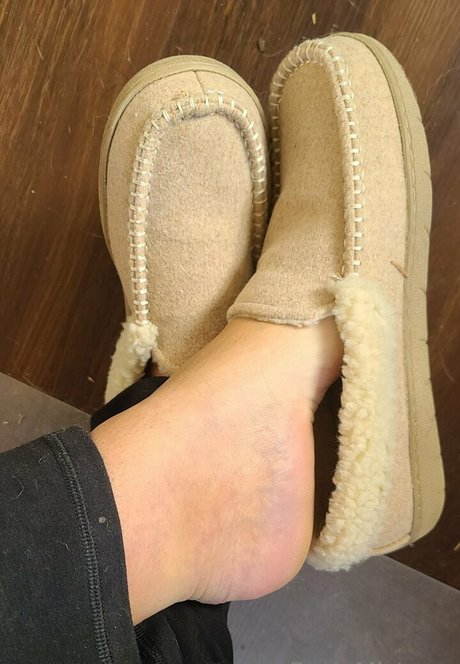 the footress 最高のスター 画像