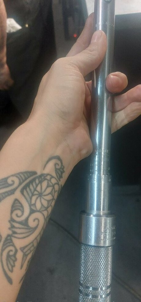 バニーオンリーファンズ ホットxxx 画像