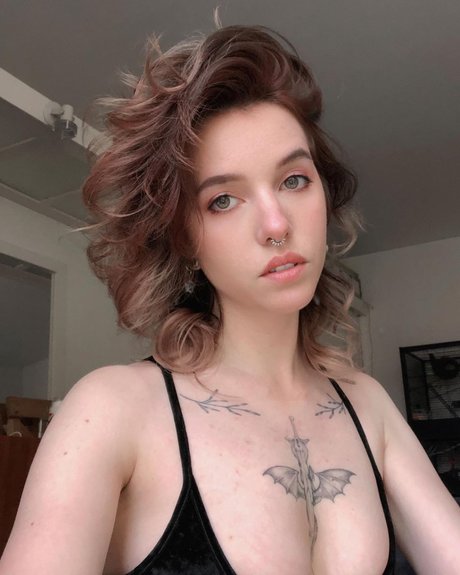Xailurus セクシーなスター 写真
