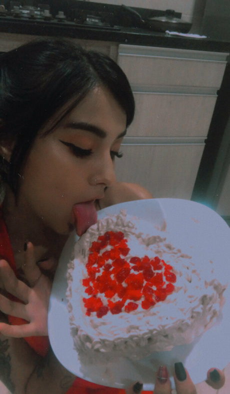 sunmoonlia HDモデル 写真