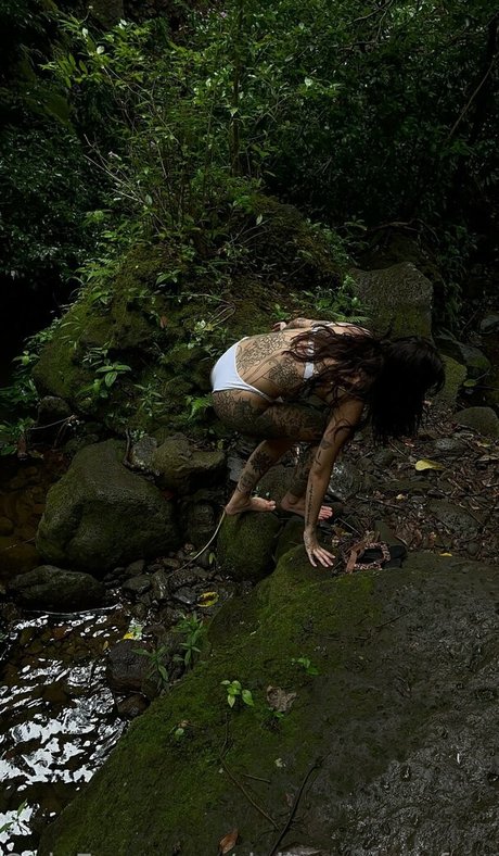 dallasemaxxfree HDモデル 写真