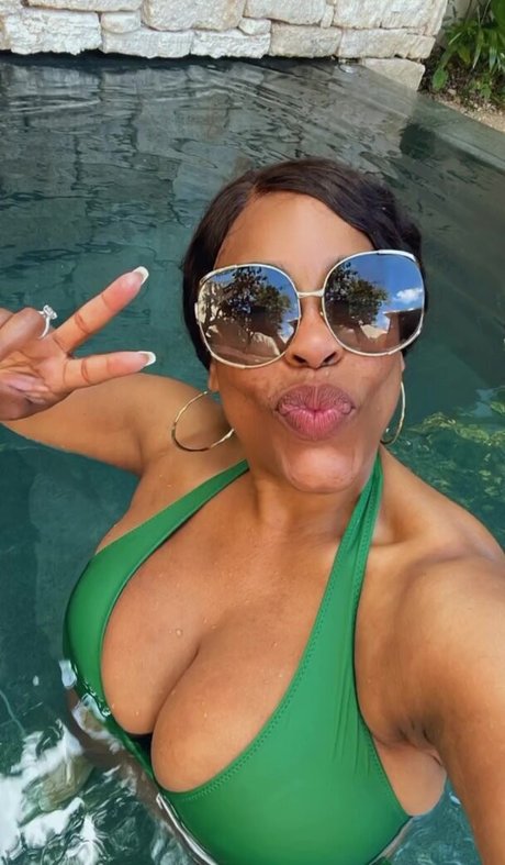 Niecy Nash セクシーモデル 画像