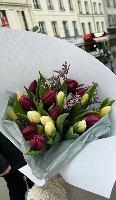 imevesweet free トップモデル 画像