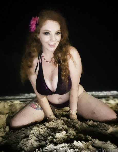 avalonfey top profile image