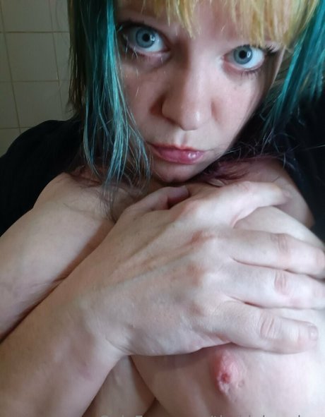 thekinkyzebra 限定スター 写真