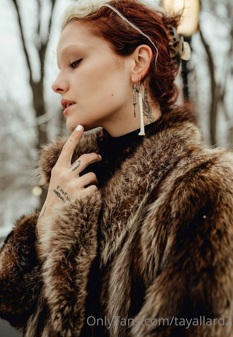 tayallard2 美しいモデル 画像