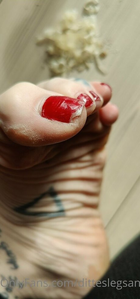 ditteslegsandfeet 美しいスター 写真