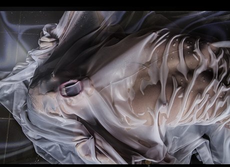 Speedy Cosplay 最高のスター アーカイブ