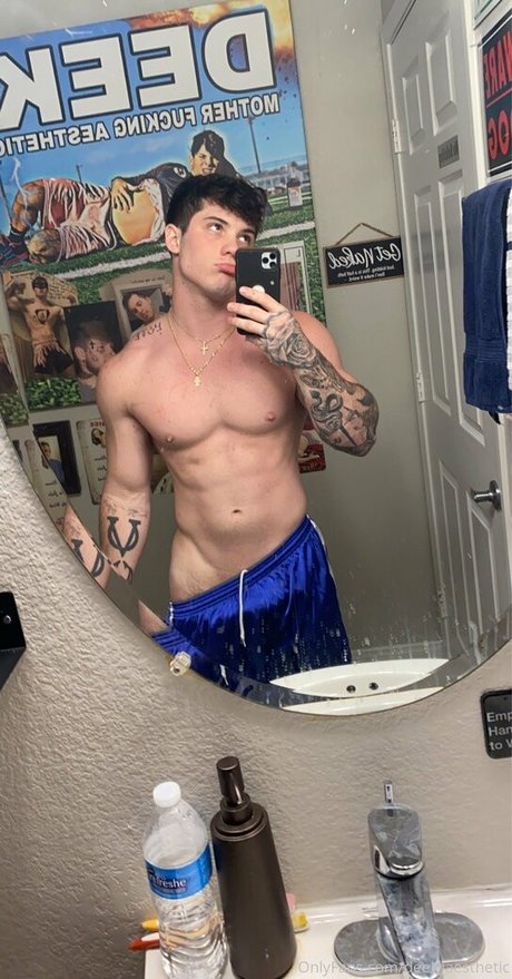 deek aesthetic セクシーモデル 画像