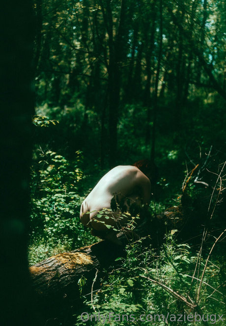 aziebugx HDモデル ギャラリー