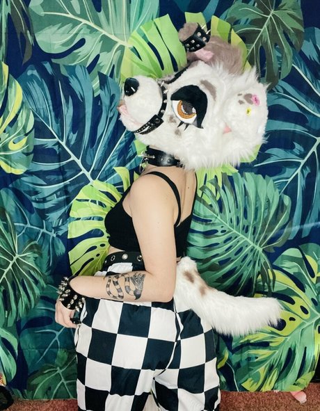 DMオンリーファン 無料セックス 写真