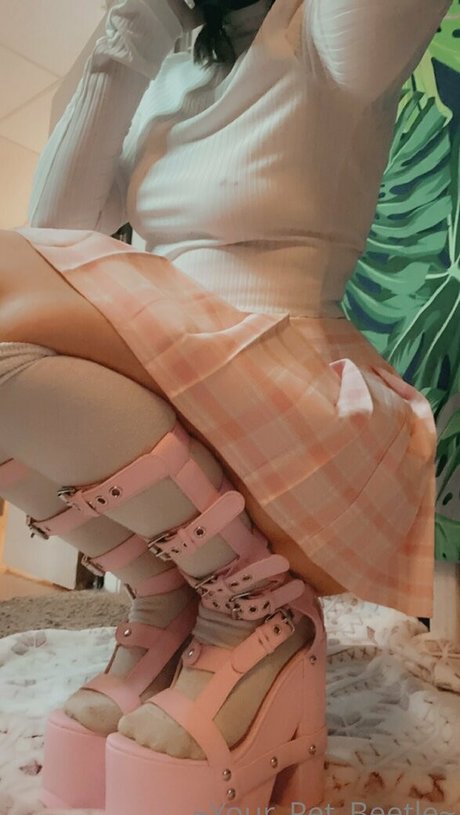 strwbrryinsides 美しいスター 写真