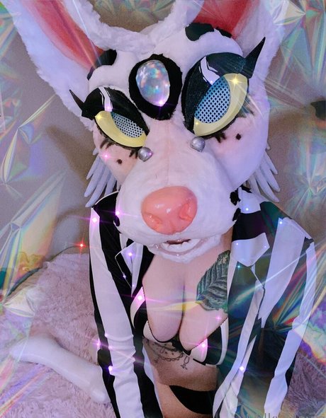 strwbrryinsides 無料モデル 写真