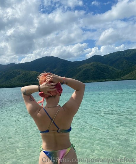 フェイスオンリーファン ベスト 写真