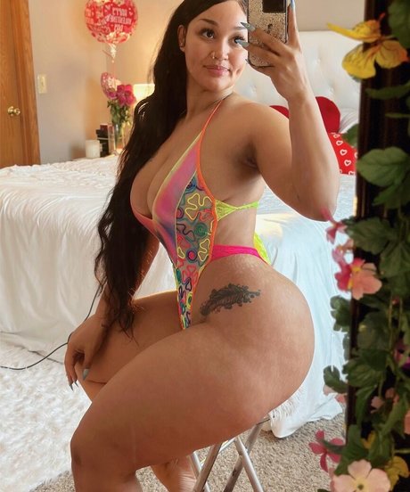 タイのレディーボーイオンリーファンズ 美しい 写真