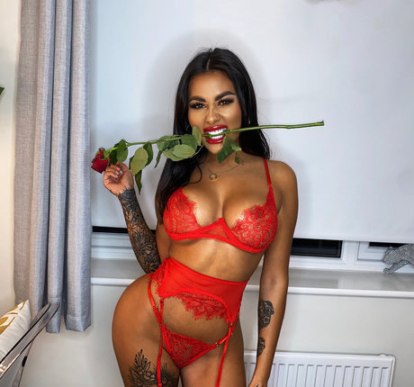 Nikita Jasmine 限定スター 画像