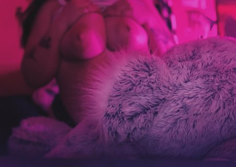 bountyhuntforjabbahutt 美しいスター ギャラリー