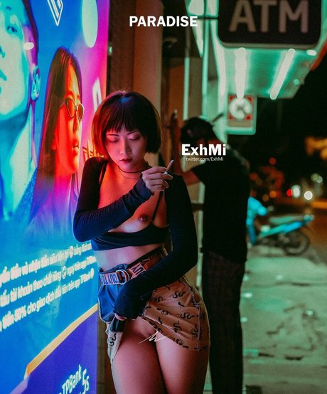ExhMi HDモデル 画像