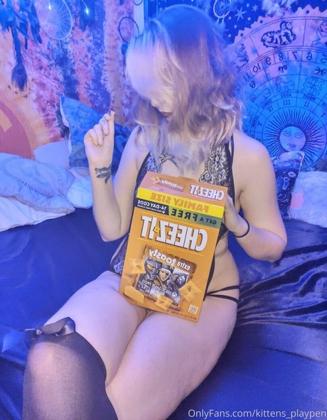 kittens playpen top profile image