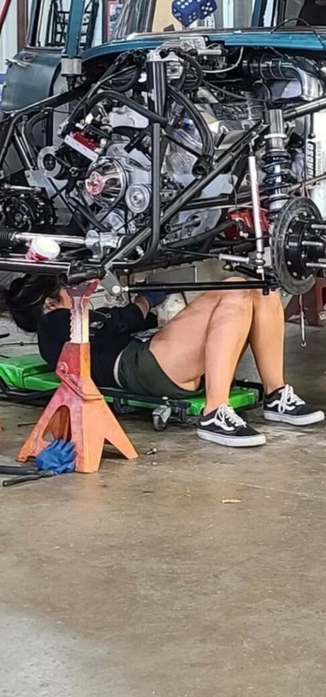 Alex Taylor トップスター ギャラリー