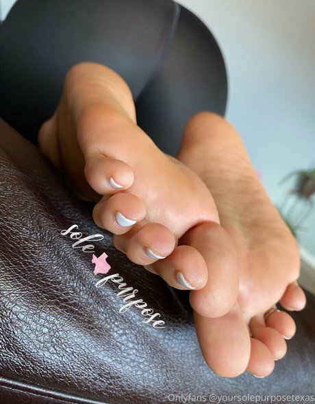 茶色の目のキティオンリーファンズ 美しい 写真