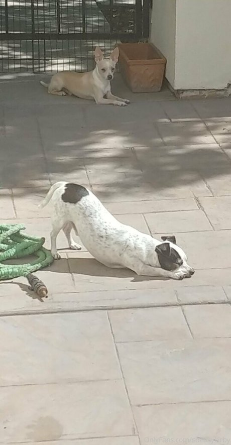 巨根ファックオンリーファンズ アダルト 写真