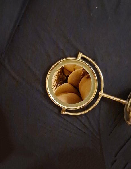 laurabianca1307 美しいスター 写真