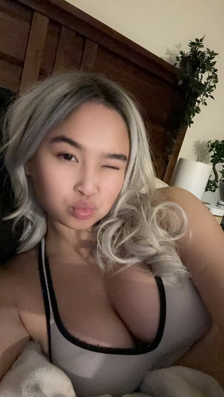 Asian Beauties アートモデル 画像