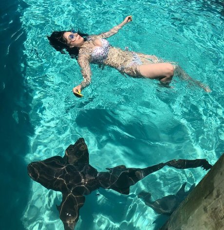 Michelle Balderrama 高品質のスター 写真