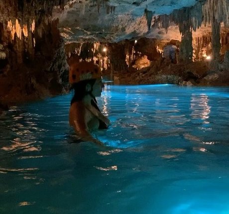 Michelle Balderrama 最高のモデル 写真