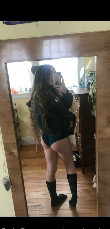 monica honey トップスター 写真