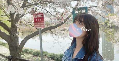 alice monthly fans ポルノスター ヌード アーカイブ