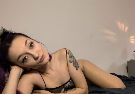 pussy 18 ポルノスター 画像