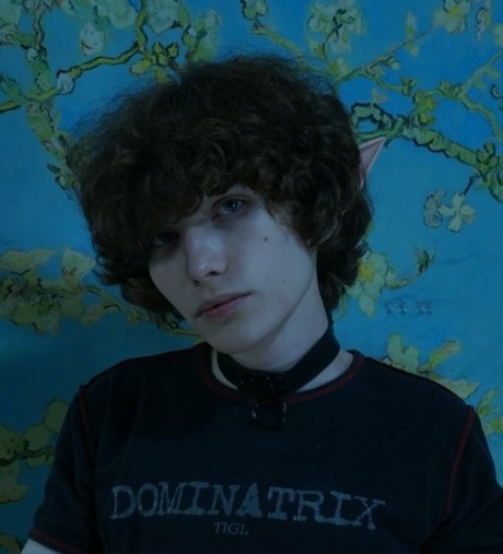 Xaviey 美しいスター 写真