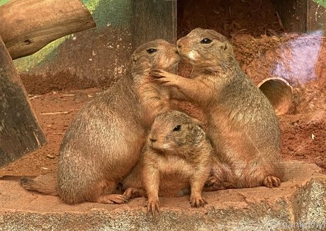 マッサージセラピストオンリーファンズ xxx 写真