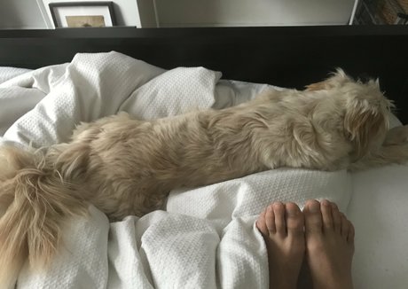 おっぱい自撮りオンリーファンズ ポルノ 写真