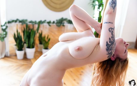 Espiona セクシーなポルノスター 画像