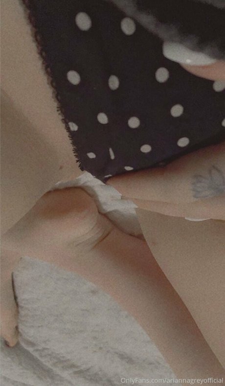 nudes plug 最高のスター アーカイブ