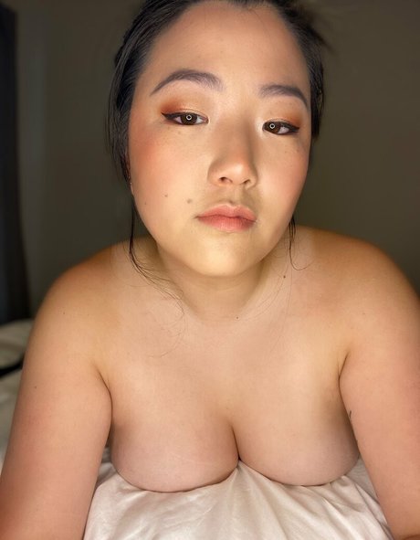 stella fox xxxモデル アーカイブ
