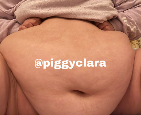 piggyclara スター 画像